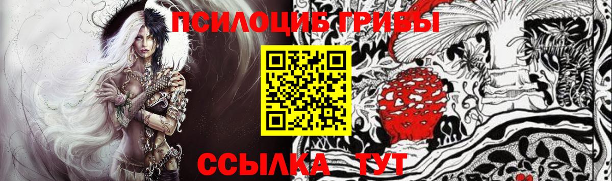 Псилоцибиновые грибы Psilocybe  Вход с VPN  Химки 